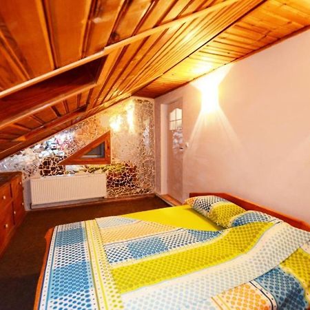 Rustic & Romantic Apartment Braşov Eksteriør billede