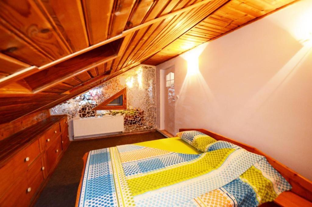 Rustic & Romantic Apartment Braşov Eksteriør billede