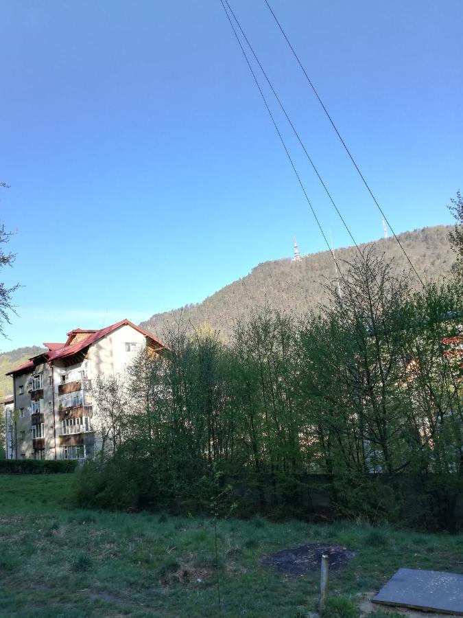 Rustic & Romantic Apartment Braşov Eksteriør billede