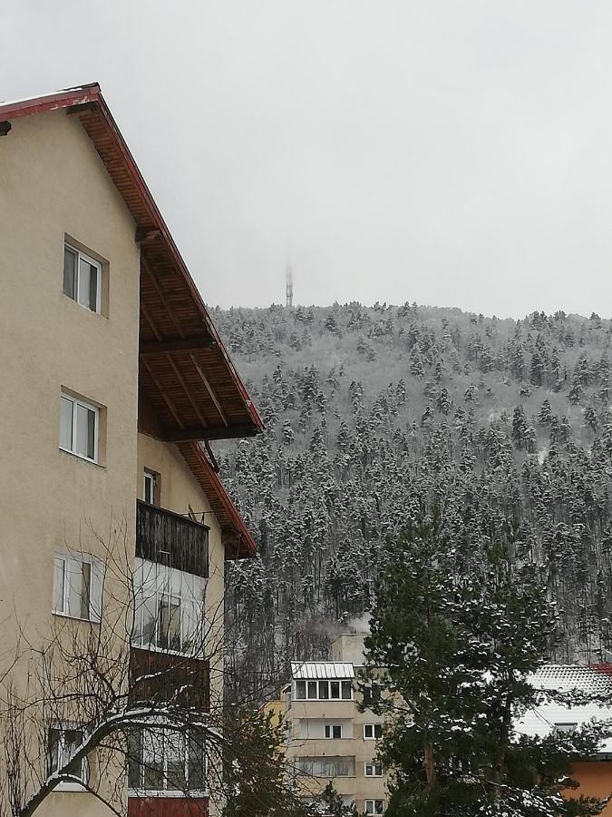 Rustic & Romantic Apartment Braşov Eksteriør billede