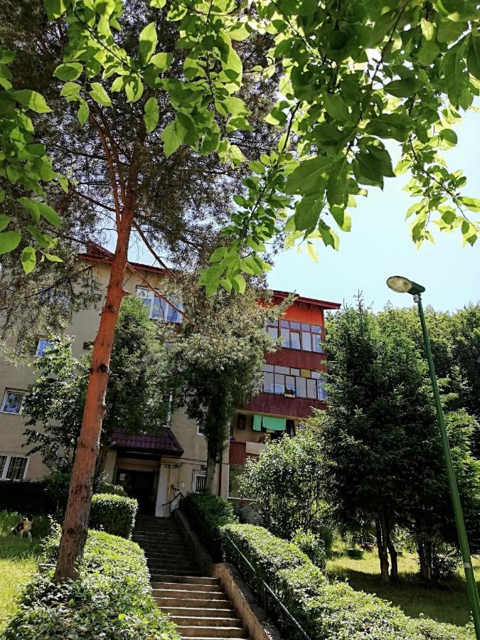Rustic & Romantic Apartment Braşov Eksteriør billede